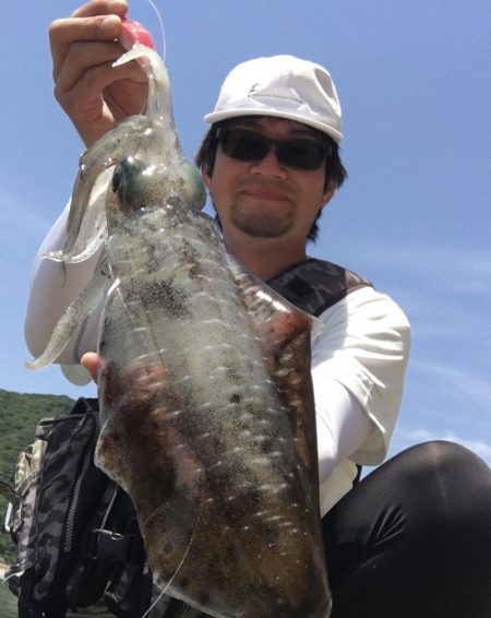 A.P.Pフィッシングガイドサービス ショアフィッシングで色々とRIDEONとなる!